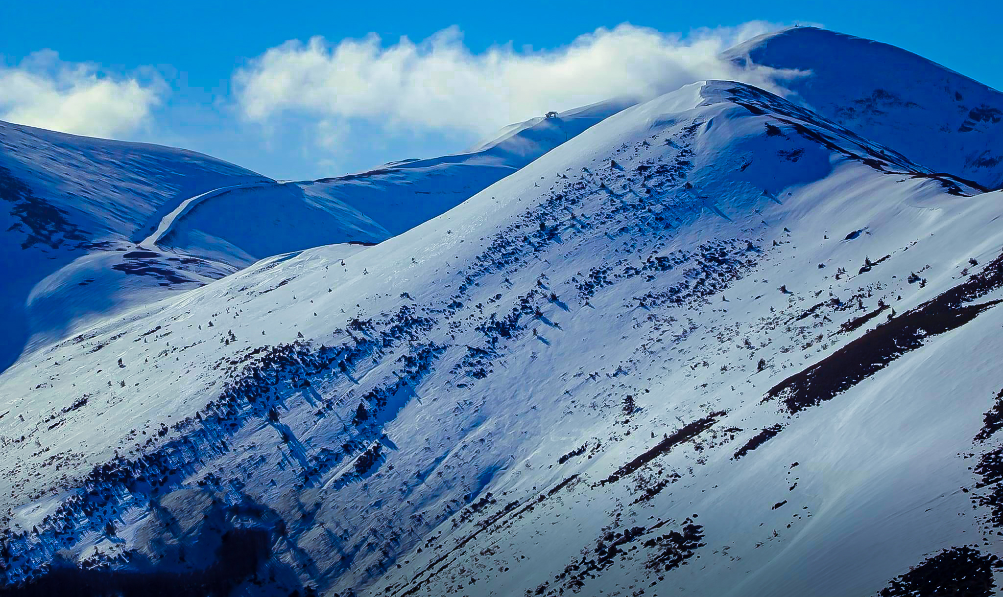 Foto San Lorenzo - [Todo el día] + COMIDA